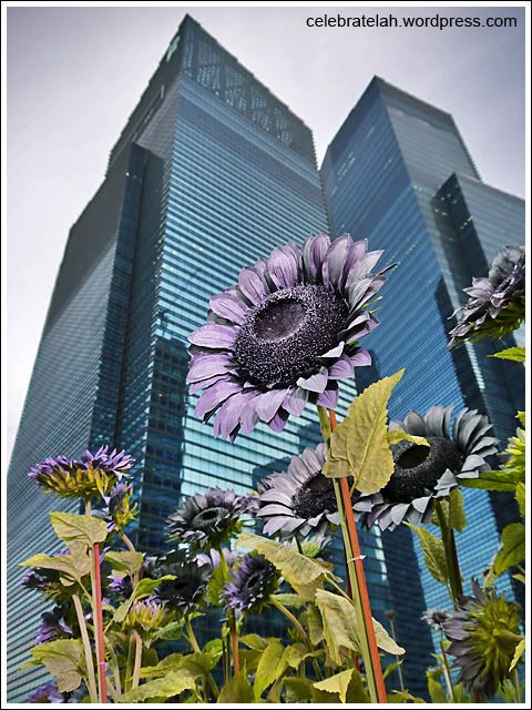 Planting Shadows