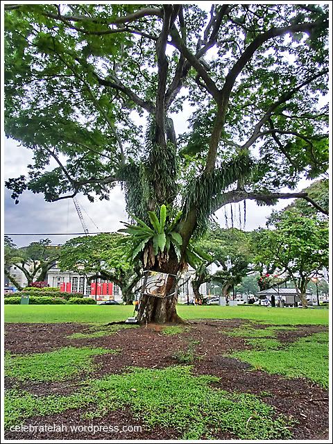 iLight Tree Stories