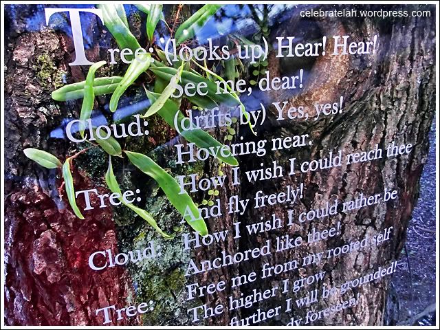 iLight Tree Stories