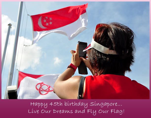 National Day 2010 celebrations at Kaki Bukit