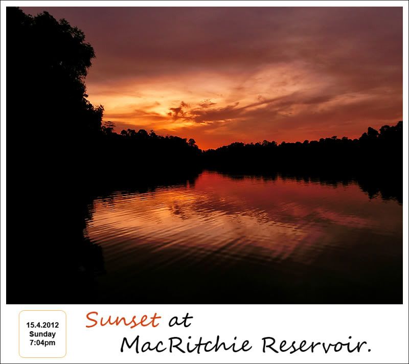 MacRitchie Reservoir Sunset