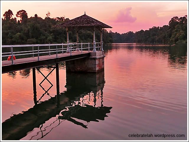 MacRitchie Reservoir