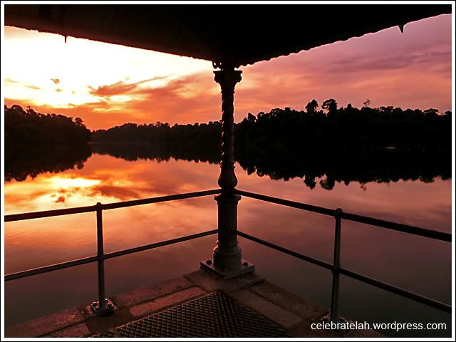 MacRitchie Reservoir