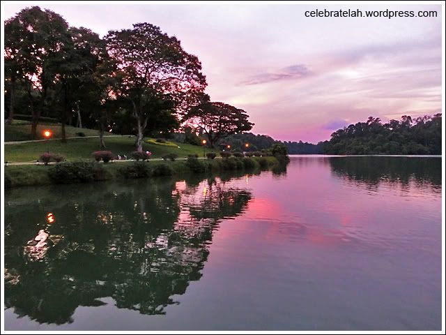 MacRitchie Reservoir