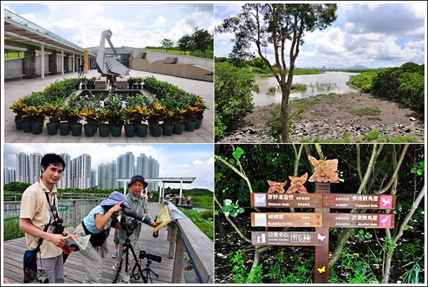 Hong Kong's green lungs