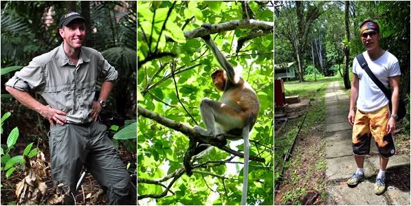 Searching for Proboscis Monkey