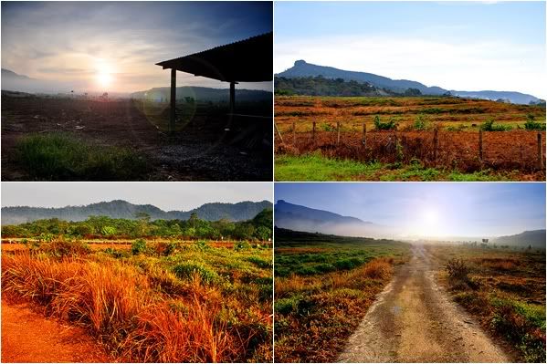 Sunrise at the Fields