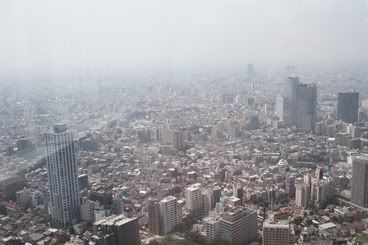 Panoràmica de Tokyo des del mirador de l'Ajuntament