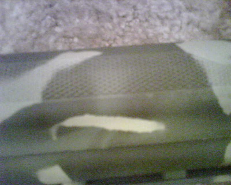 mossy501.jpg