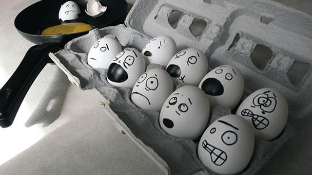 [Image: terrified_eggs.jpg]