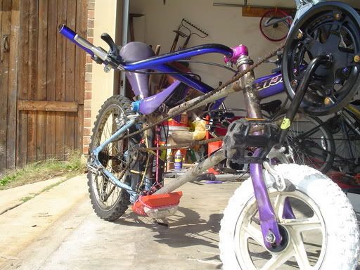 <img:http://img.photobucket.com/albums/v319/Balthezar_Arith/My%20Insanity/Bike%20Projects/meaniscute.jpg>