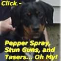 Pepper Spray, Stun Guns, and Tasers… Oh My!