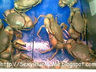 Supermarket Crabs