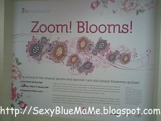 Zoom! Blooms!