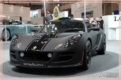 6c985868.jpg &#33714;&#33457;Exige Scura&#29305;&#21035;&#29256; picture by aries_gu