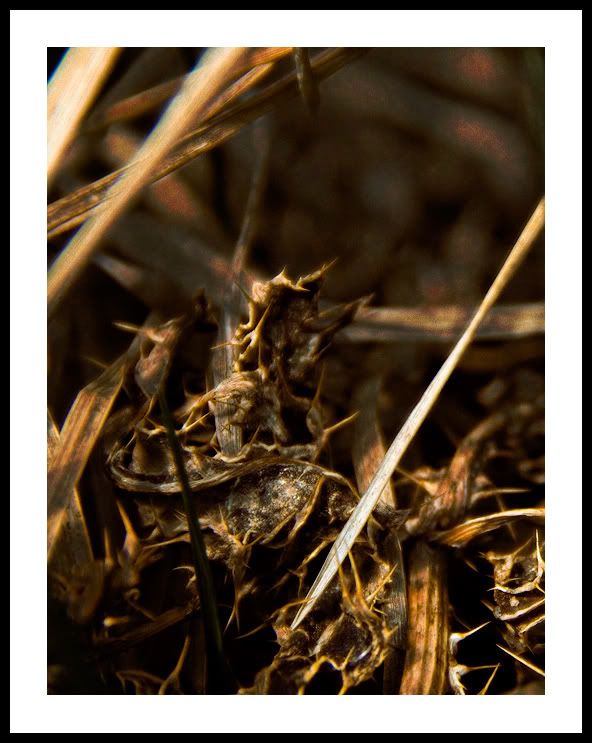 IMAGE: http://img.photobucket.com/albums/v319/nutsaqz/mkmkm.jpg