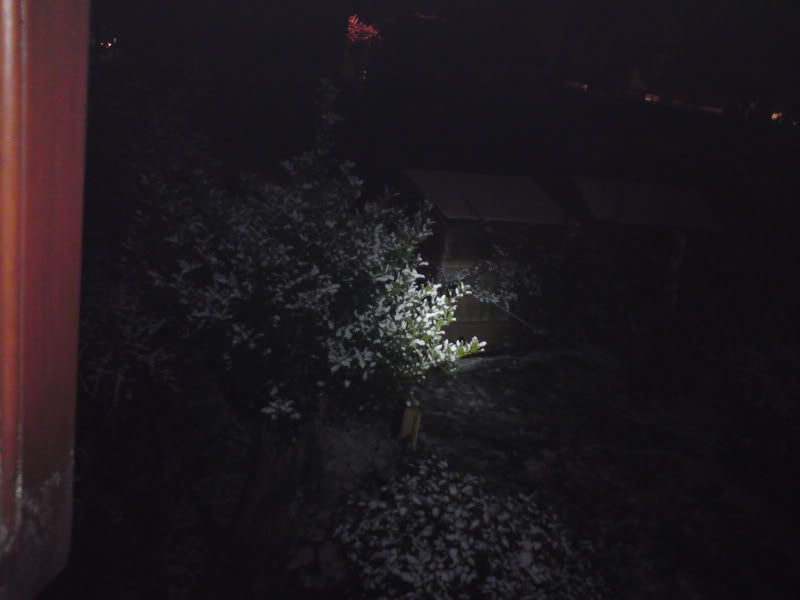 DSC00041.jpg
