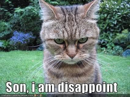 disappointed-cat-is-disappoint-2339.jpg