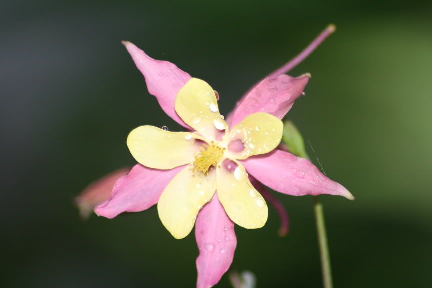 IMAGE: http://img.photobucket.com/albums/v319/troyer16/group1281.jpg