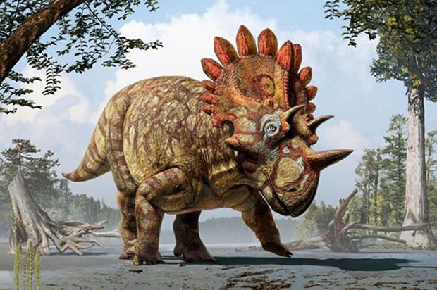 Regaliceratops_peterhewsi_zpsf3vrqdyv.jpg