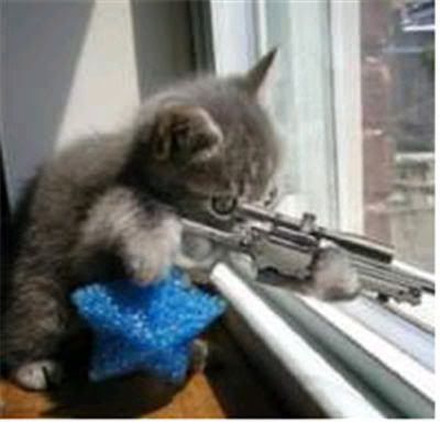 kittens with guns. one kitten.