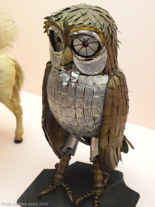 knightjar_bubo.jpg