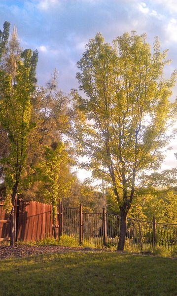 photo IMAG1290_zpsa60c16bc.jpg