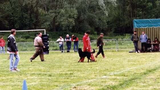 beau-trial.jpg