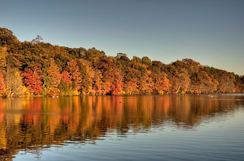 More Fall Colors In HDR Pictures, Images and Photos