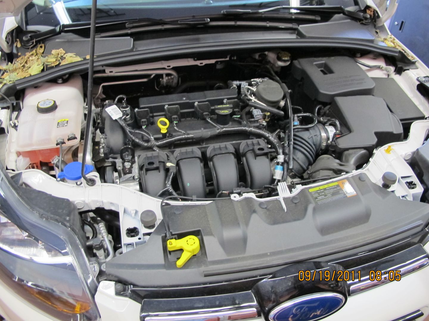 2014 ford focus manual transmission fluid change