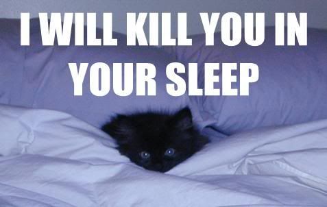 http://img.photobucket.com/albums/v322/theace18/i-will-kill-you-in-your-sleep.jpg