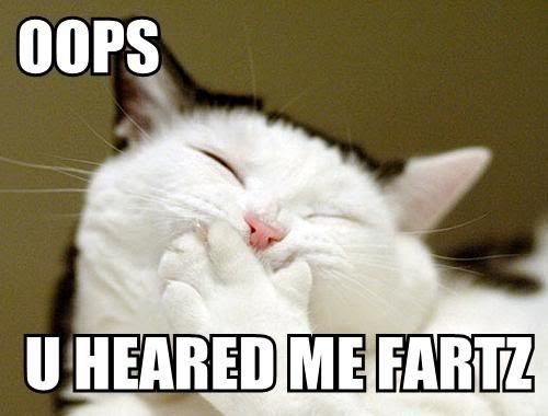 oops-u-heared-me-fartz.jpg