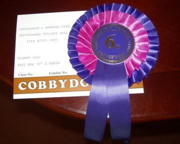 Boris's Rosette