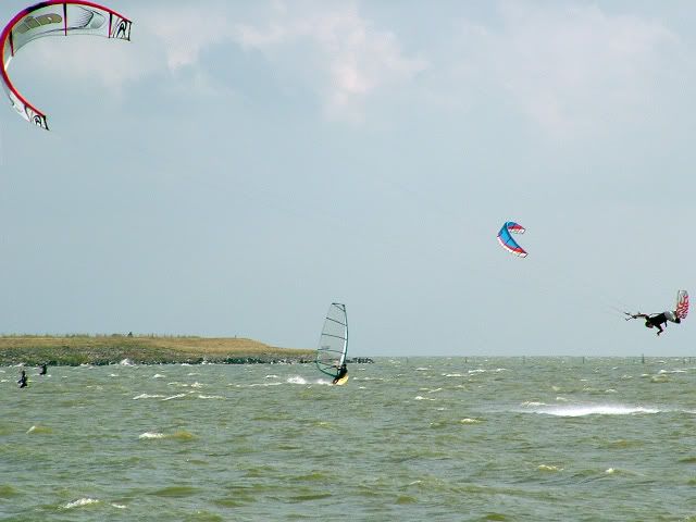 schel-4.jpg