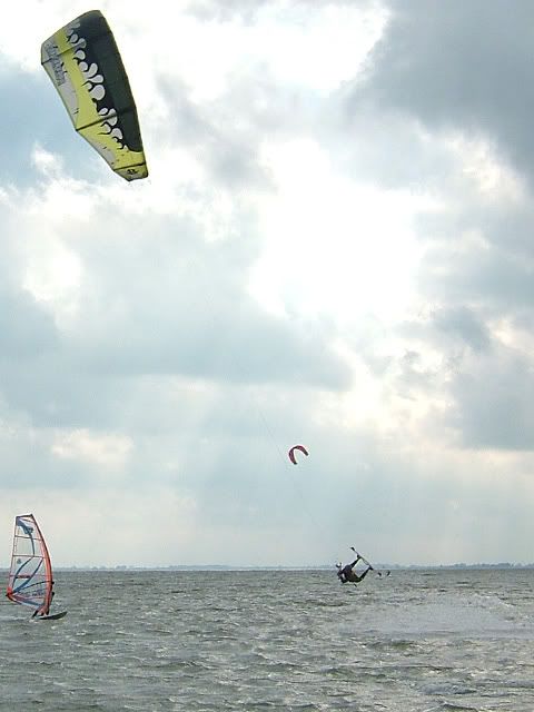 schel-7.jpg