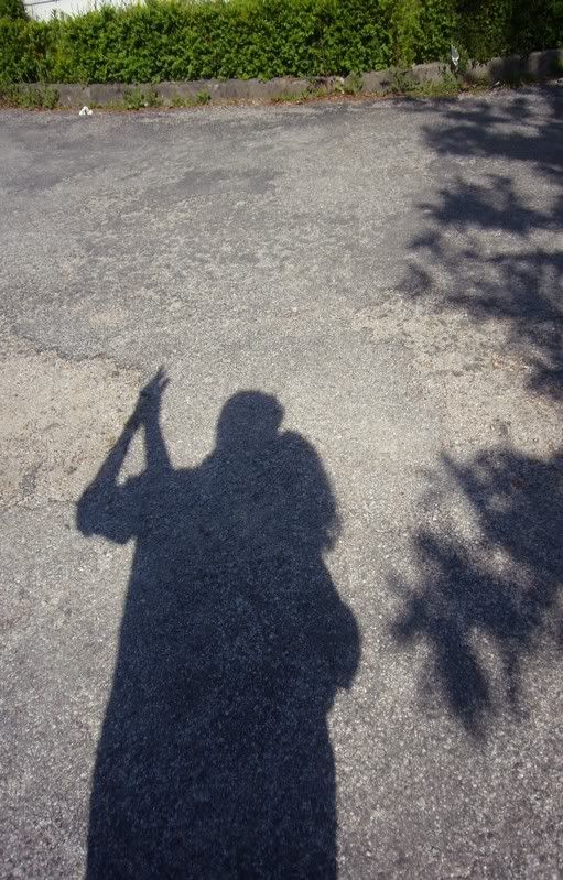 Photo Sharing and Video Hosting at Photobucket