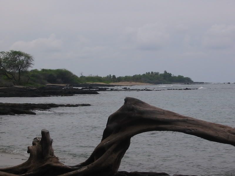 Hosted by Photobucket.com