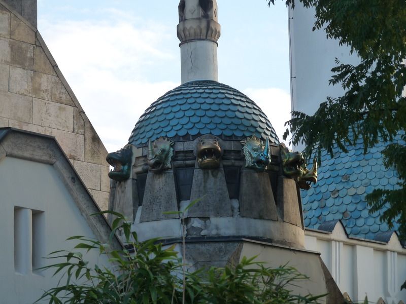 P1110637_zpstmvgoyjh.jpg