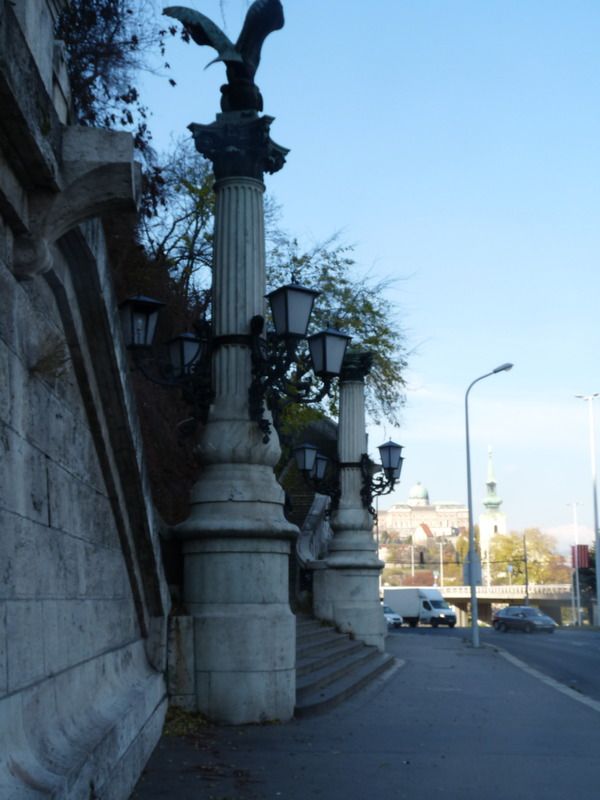 P1110714_zpsarqhfbkl.jpg