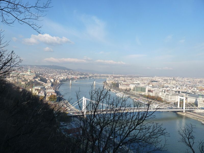 P1110719_zpsjq0lxfyg.jpg