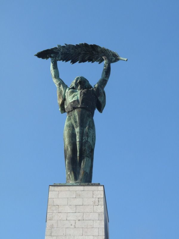 P1110724_zpskpyehyu9.jpg