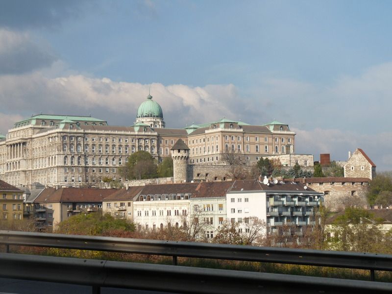 P1110729_zpsta3jfoji.jpg