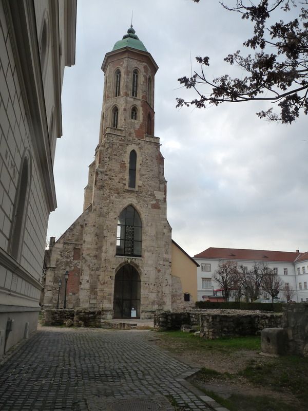P1110739_zpsyobsgdcj.jpg