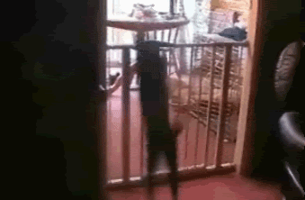 [Image: cathaha.gif]