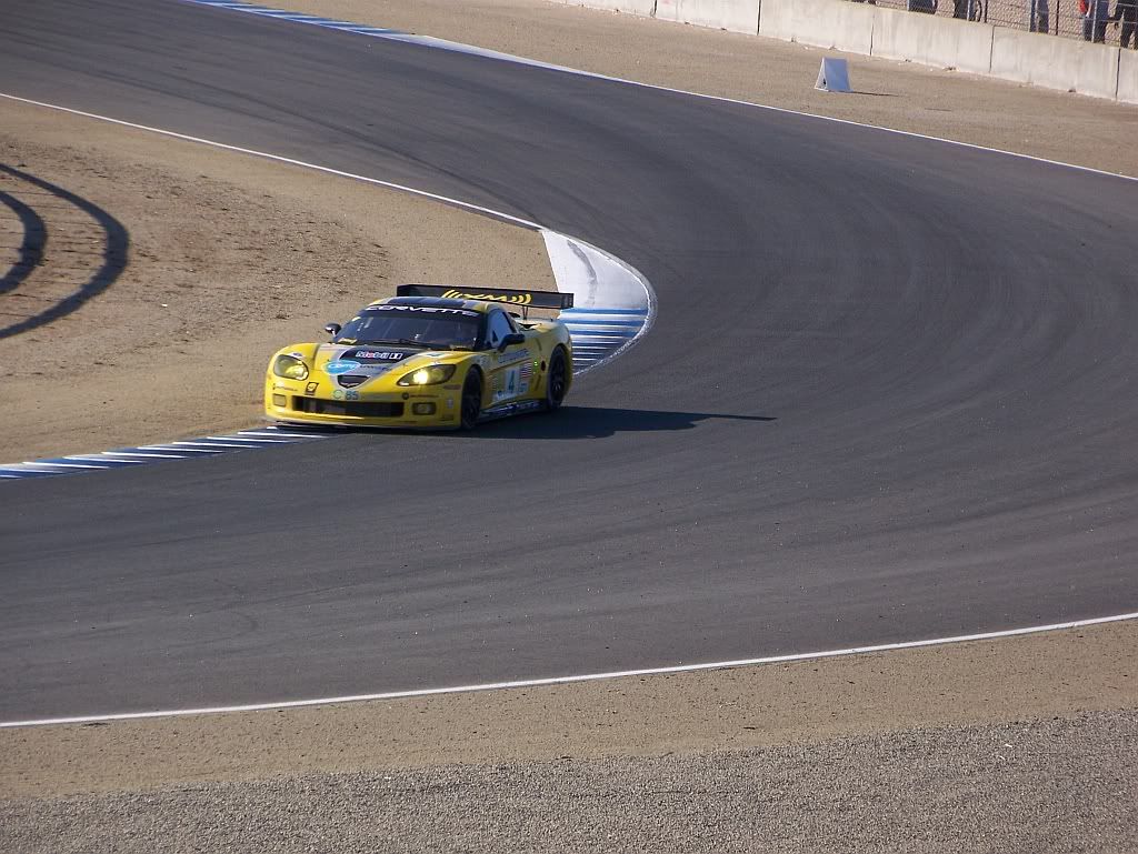 Corvette4turn4race.jpg