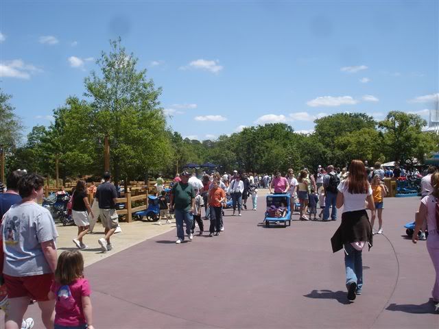 WDW4-17165.jpg