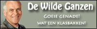 banner21.png