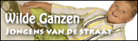 banner26.png
