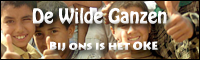 banner3.png