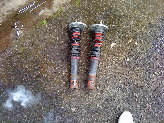 Avo Coilovers